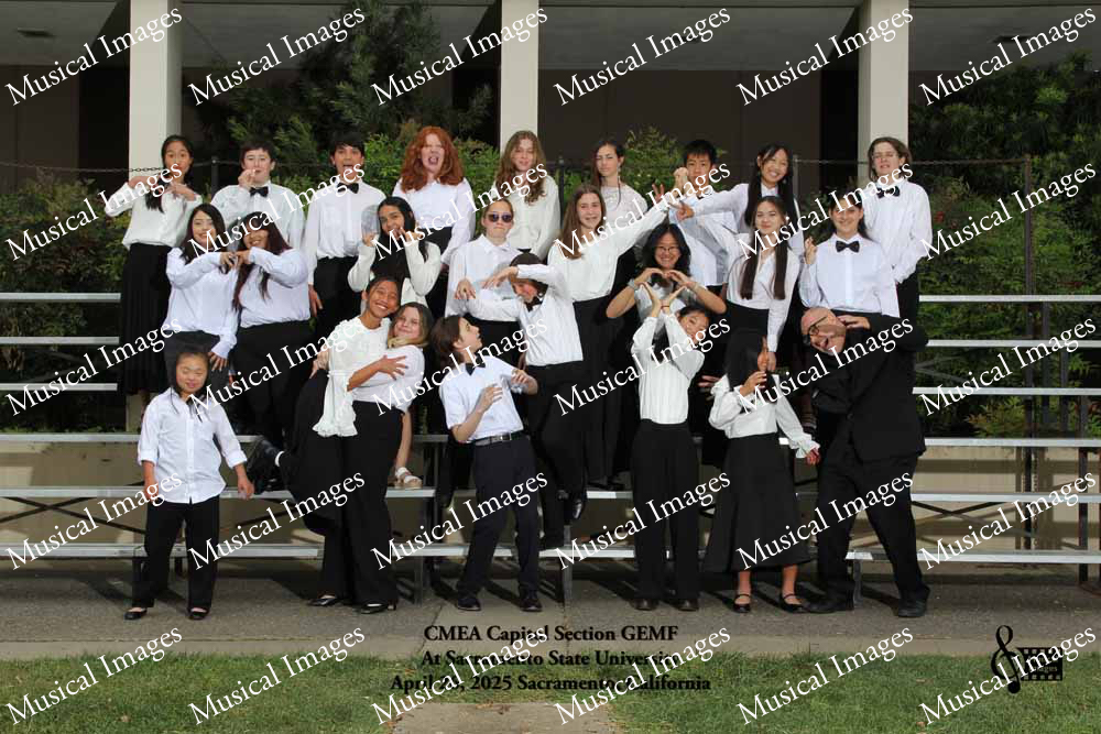 Musical Images